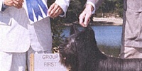 Nick gets a Group One