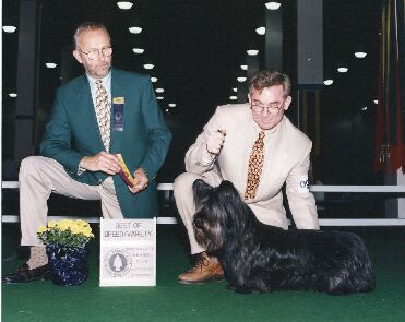 Nicky with proud owner Steven Spicer.