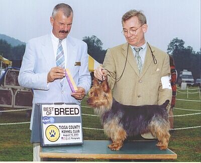 Rooney won Best of Breed at the Tioga Show in 2003