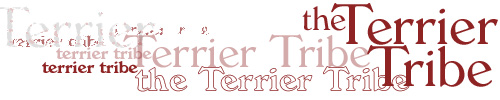 At the top of the page is the Terrier Tribe nameplate.